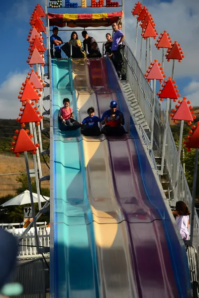 DSC_0407 (Large).JPG